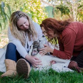 pet euthanasia hospice southern california welcome dog